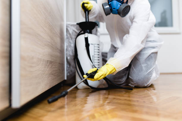 Best Cockroach Control Services  in Manchester, MI