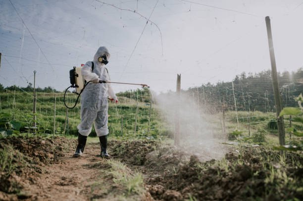 Best Pest Prevention Services  in Manchester, MI