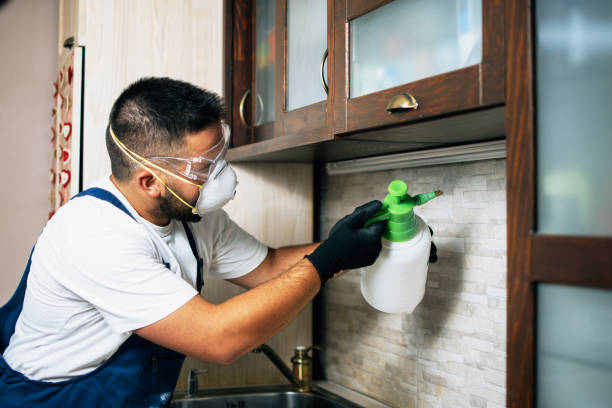 Best Flea Control Services  in Manchester, MI