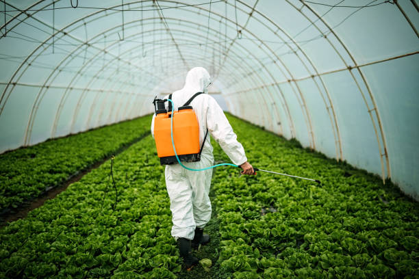Best Mosquito Control Services  in Manchester, MI