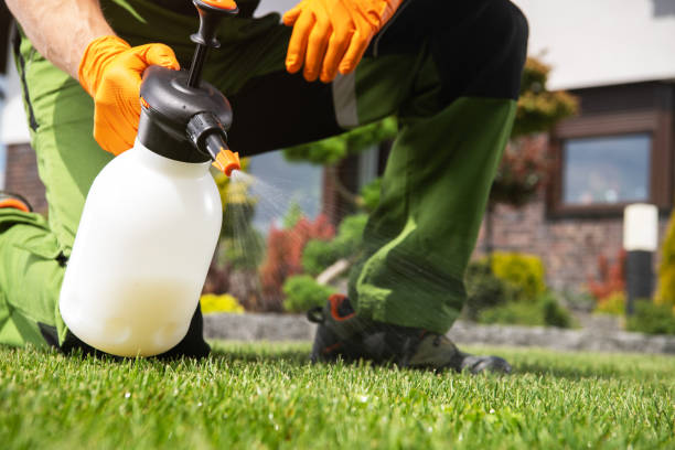 Flea Control Services in Manchester, MI