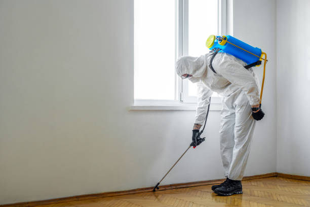 Best Ant Control Services  in Manchester, MI