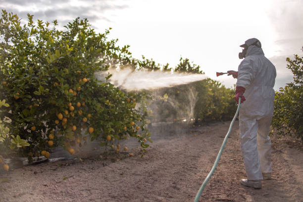 Best Pest Control Cost  in Manchester, MI