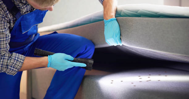 Best Residential Pest Control  in Manchester, MI