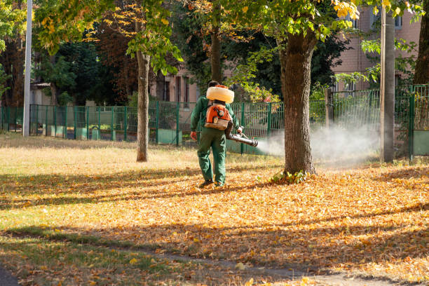 Best Pest Removal Services  in Manchester, MI
