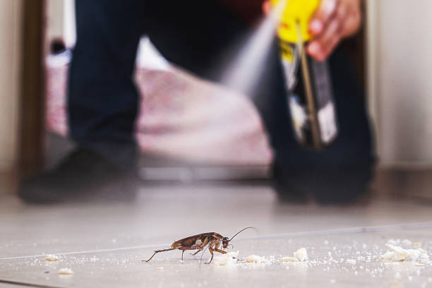  Manchester, MI Pest Control Pros