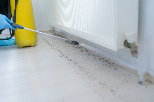 Manchester, MI Pest Control Company
