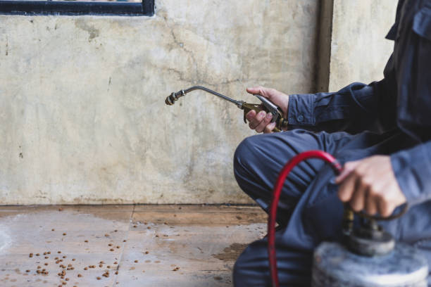 Best Mosquito Control Services  in Manchester, MI