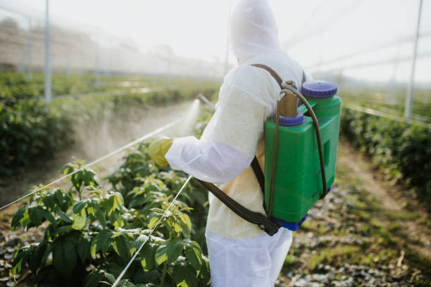 Pest Prevention Services in Manchester, MI